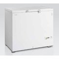 Морозильный ларь Tefcold FR305S