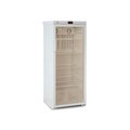 Фармацевтический холодильник Бирюса 280S-GB 5G2B