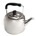 Чайник нерж. 6 л. FT-2901-2010504