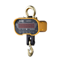 Крановые весы CAS (Caston I) 1 THA
