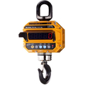 Крановые весы с многофункциональным пультом CAS (Caston III) 10 THD с RF