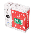 Малина v4 (2 ГБ)