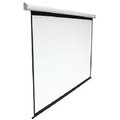Экран электроприводом Classic Lyra (16:9) 337x250 (E 329x185/9 MW-M4/W)