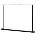 Экран настенный рулонный 160х160см