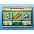 Электрифицированный стенд "Строение клетки" с маркерными полями