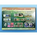 Электрифицированный стенд "Уровни организации жизни"