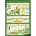 Комплект таблиц "Биология 10-11 класс Эволюционное учение" (10 шт.) Комплект таблиц "Биология 10-11 класс Эволюционное учение" (10 шт.)
