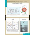 Комплект таблиц "Молекулярно-кинетическая теория" 10 таблиц