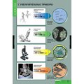 Комплект таблиц "Вещества растений. Клеточное строение" (12 шт.)