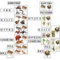 Модель-аппликация Классификация растений и животных