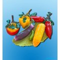 Набор муляжей "Овощи"