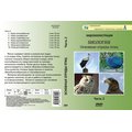 Основные отряды птиц (2 части) (Видеодемонстрации)
