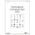 Природное сообщество луга. Методические рекомендации
