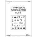 Природное сообщество поля. Методические рекомендации
