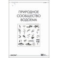 Природное сообщество водоема. Методические рекомендации