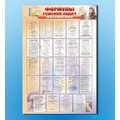 Стенд "Формулы для решения задач по математике"