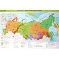 Тектоника и минеральные ресурсы России Тектоника и минеральные ресурсы России