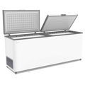 Морозильный ларь Frostor F800SD