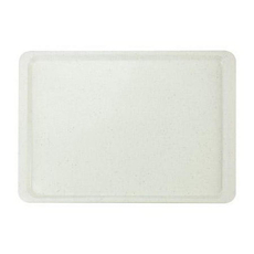 Поднос пластиковый Paderno 32,5х53 см