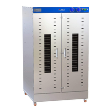 Шкаф сушильный Abat ШС-32-2Г-02