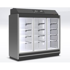 Морозильный шкаф ШН 1.80-6.0 ANZIO LT 3D3K 2343 Д