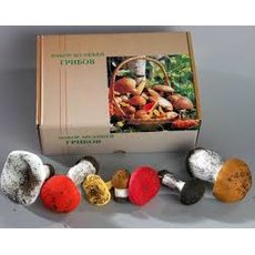 Набор муляжей грибов