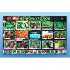 Комплект оборудования "Живой уголок" (растения)