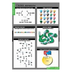 БИОЛОГИЯ Химия клетки