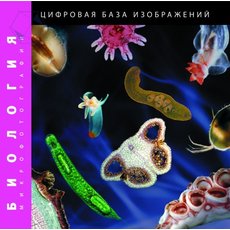 Биология (микрофотографии). Цифровая база изображений