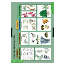 БИОЛОГИЯ Общее знакомство с цветковыми растениями.