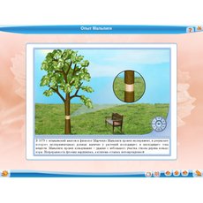 Биология: растения, грибы, бактерии, 6 класс для Windows