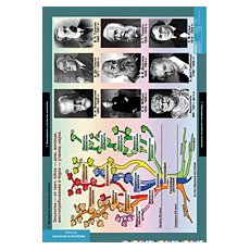 БИОЛОГИЯ Введение в Экологию