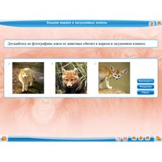 Биология: животные, 7 класс для Windows