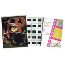 Человек и его здоровье (100 шт)