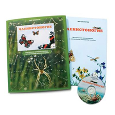 Членистоногие