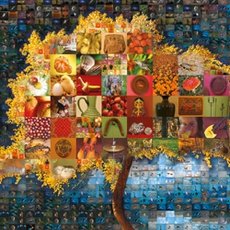 Цифровая база изображений. Начальная школа. Иностранный язык