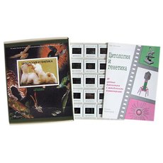 Цитология и генетика (80 шт)