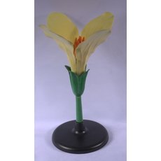 Цветок капусты