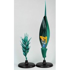 Цветок пшеницы