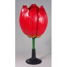 Цветок тюльпана