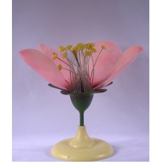 Цветок яблони