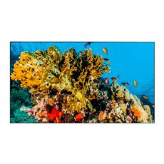 Дисплей для видеостен Eliteboard BB557FFBED