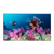 Дисплей для видеостен Eliteboard BB657UCBED