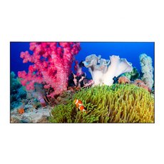 Дисплей для видеостен Eliteboard BB757UCBED