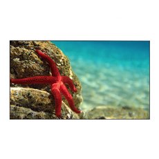 Дисплей для видеостен Eliteboard BK495FCBE