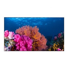 Дисплей для видеостен Eliteboard BK555FCBE