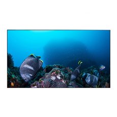 Дисплей для видеостен Eliteboard BK555FFLE