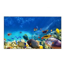 Дисплей для видеостен Eliteboard BK557FDLE