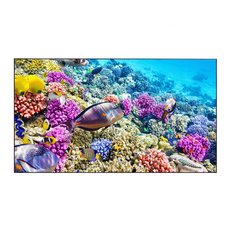 Дисплей для видеостен Eliteboard BK557FFLE