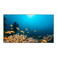 Дисплей для видеостен Eliteboard BK558FCBE